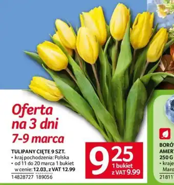 Selgros TULIPANY CIĘTE 9 SZT. oferta