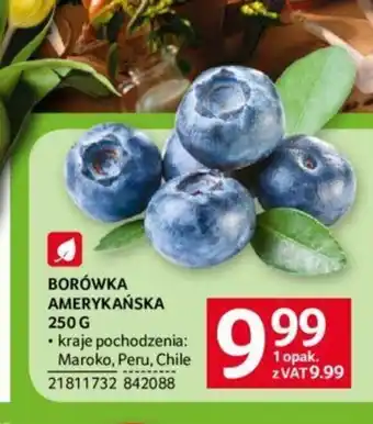 Selgros BORÓWKA AMERYKAŃSKA 250g oferta