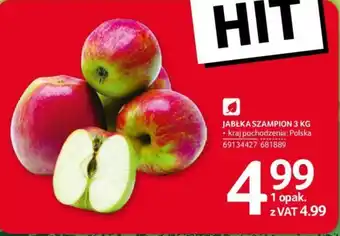Selgros JABŁKA SZAMPION 3 KG oferta