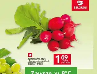 Selgros RZODKIEWKA 1 SZT. oferta