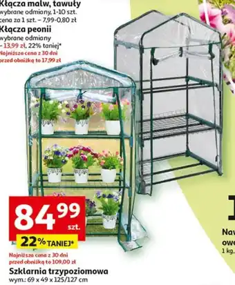 Szklarnia trzypoziomowa