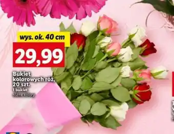 Lidl Bukiet kolorowych róż, 20 szt. oferta