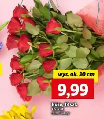 Lidl Róże, 13 szt. 1 bukiet oferta