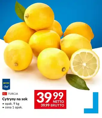 Makro Cytryna Metro Chef oferta