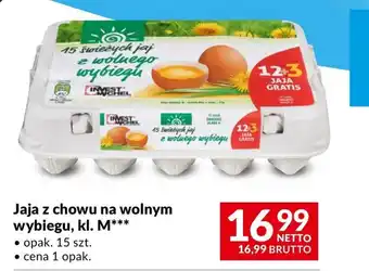 Makro Jaja Netto oferta