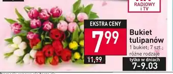 Bukiet tulipanów