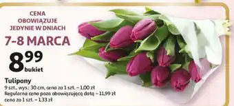 Auchan Tulipany 9szt. oferta