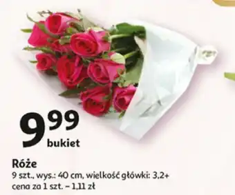 Róże 9szt.