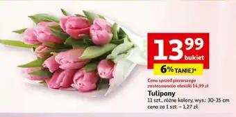 Tulipany 11 szt.