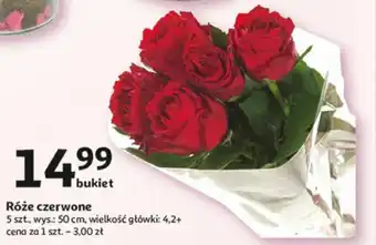Auchan Róże czerwone 5szt. oferta