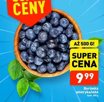 ALDI Borówka amerykańska 500 g oferta