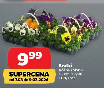 Netto Bratki 10 szt. oferta