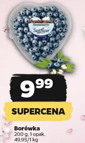 Netto Borówka 200 g oferta