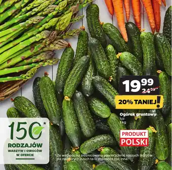 Netto Ogórek gruntowy 1kg oferta
