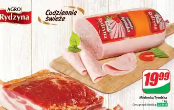 Dino Mielonka Agro Rydzyna oferta