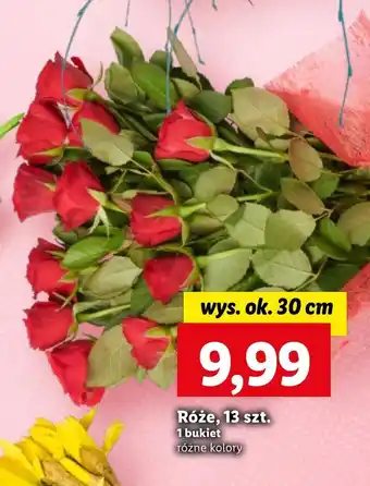 Lidl Bukiet róż Ok oferta