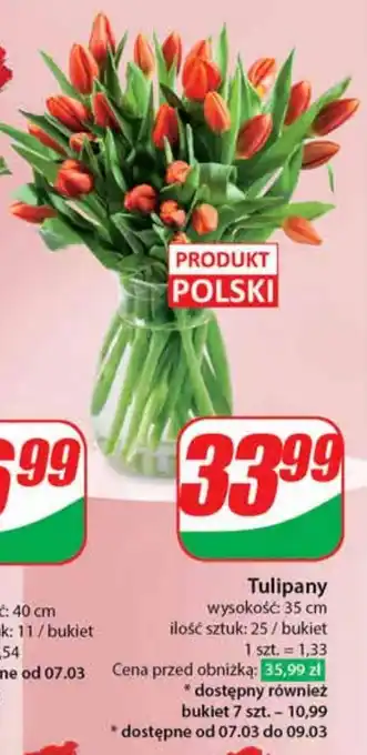 Bukiet tulipanów Tulipany