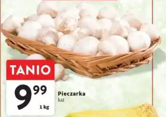 Intermarche Pieczarka luz 1 kg oferta
