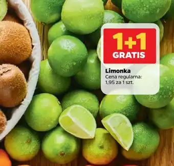 Netto Limonka oferta