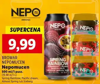 Lidl BROWAR NEPOMUCEN Nepomucen 500 ml oferta