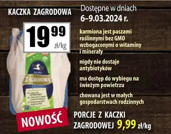 Społem Szczecin KACZKA ZAGRODOWA oferta