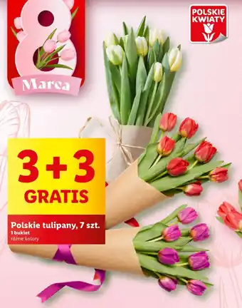 Lidl Polskie tulipany, 7 szt. oferta
