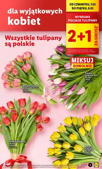 Lidl WYBRANE POLSKIE TULIPANY oferta