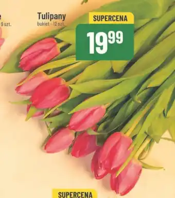 Tulipany bukiet - 12 szt.