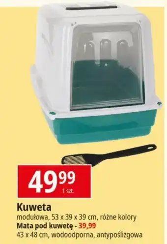 Kuweta 1 szt.