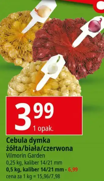 E.Leclerc Cebula dymka żółta/biała/czerwona Vilmorin Garden 0,25 kg, kaliber 14/21 mm oferta