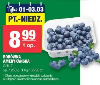 Spar BORÓWKA AMERYKAŃSKA 250 g oferta