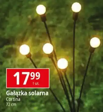 Gałązka solarna Cortina 72 cm