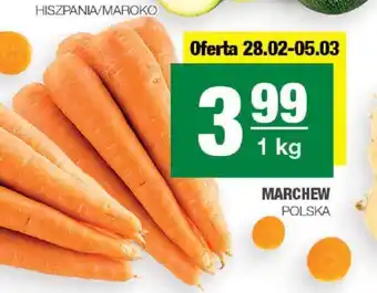 Spar MARCHEW 1 kg oferta