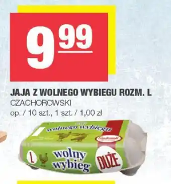 Spar JAJA Z WOLNEGO WYBIEGU ROZM. L oferta