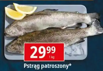 E.Leclerc Pstrąg patroszony 1 kg oferta