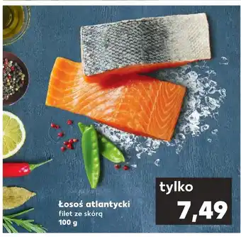 Kaufland Łosoś oferta