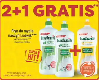Polomarket Płyn do mycia naczyń Ludwik Grupa Inco, 900 ml oferta
