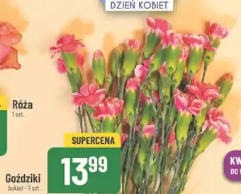 Polomarket Goździki bukiet - 7 szt. oferta