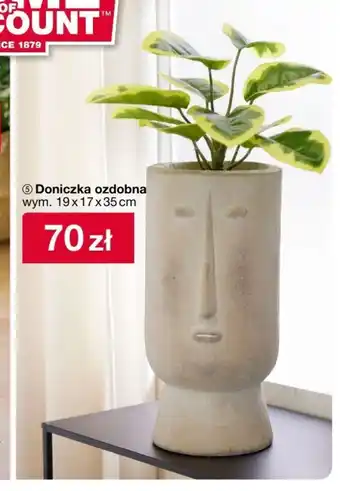 Woolworth Doniczka oferta