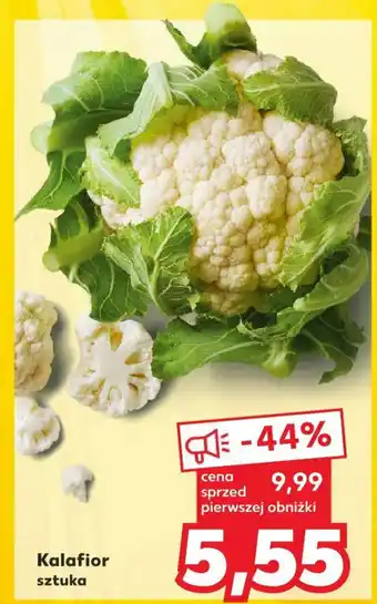 Kaufland Kalafior sztuka oferta