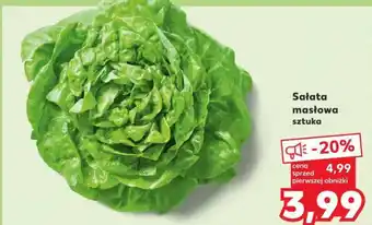 Kaufland Sałata masłowa sztuka oferta