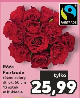 Kaufland Róże Fairtrade 13 sztuk oferta
