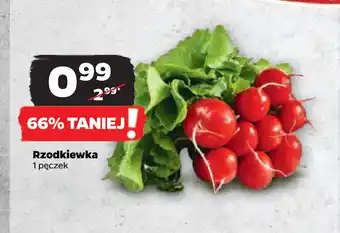 Netto Rzodkiewka oferta