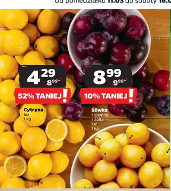 Netto Cytryna oferta