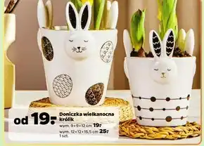 Netto Doniczka oferta