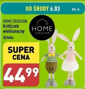ALDI Króliczek Home Creation oferta