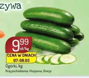 Avita Ogórki oferta