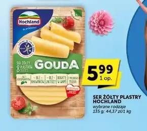 Euro Sklep Hochland Ser żółty gouda w plastrach 135 g oferta
