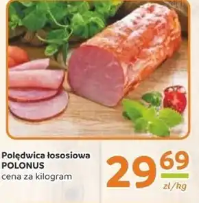 Gama Polędwica Polonus oferta
