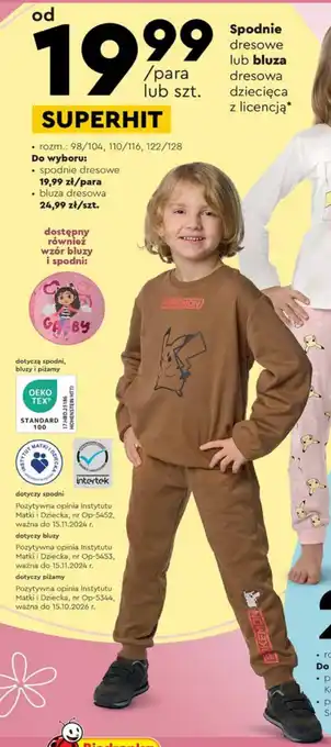Biedronka Spodnie dresowe lub bluza oferta